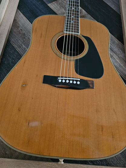 Morris MV-715 Vangaurd Series - Acoustic Guitar